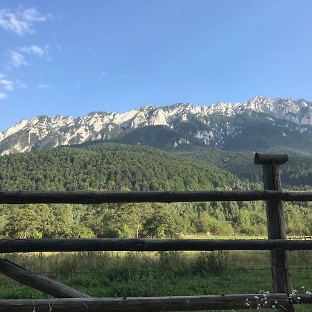 Pensiunea Kyfana Zărneşti المظهر الخارجي الصورة
