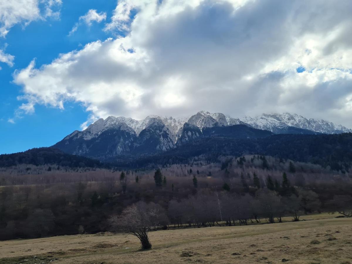 Pensiunea Kyfana Zărneşti المظهر الخارجي الصورة