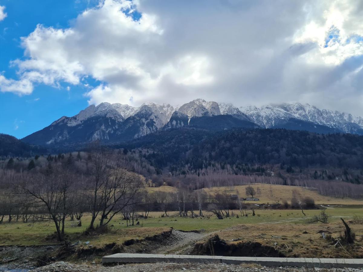 Pensiunea Kyfana Zărneşti المظهر الخارجي الصورة