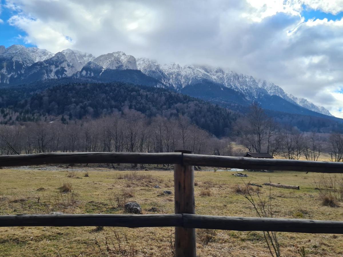 Pensiunea Kyfana Zărneşti المظهر الخارجي الصورة