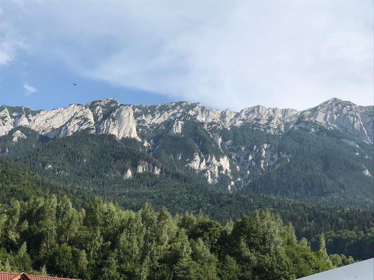 Pensiunea Kyfana Zărneşti المظهر الخارجي الصورة